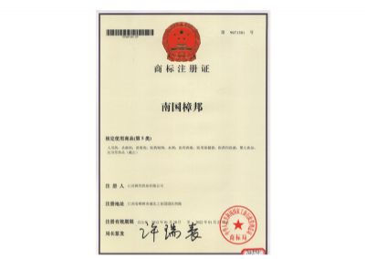 商标注册证（南国人生就是博）